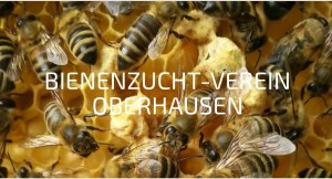 Imker Verein Bienenzucht-Verein Oberhausen Heinz Depping